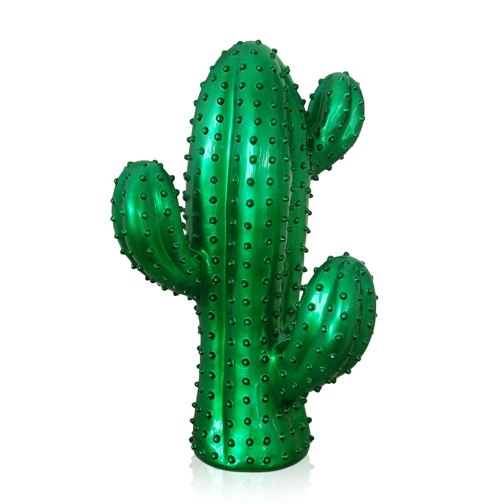 idea regalo :  Cactus medio