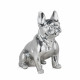 D4040RS - Bulldog francese seduto scultura in resina