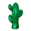 D5635EE - Cactus medio verde