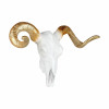 Scultura in resina raffigurante il Teschio di un animale bianco con corna dorate