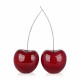 D4456PNLS - Twin cherries bordeaux