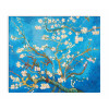 VG163EAT-03 - Almond Blossoms