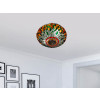 CD16123 - Orange and green dragonfly ceiling light fixture
