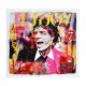 WD001X1 - Hommage à Mick Jagger 