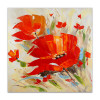 AS428X1 - Coquelicots rouges