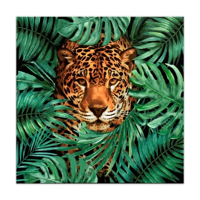 WF054X1 - Leopardo en la jungla verde