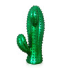 D5635EE - Cactus mediano
