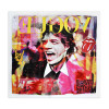WD001X1 - Hommage an Mick Jagger 